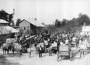 Wagons of cotton at the cotton gin in Boaz, Alabama.
