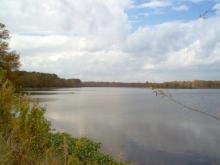 Aliceville Lake