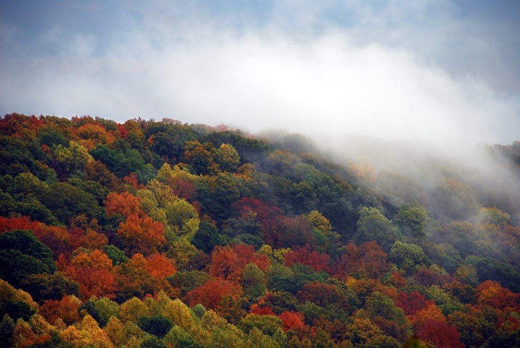 Alabama State Parks